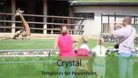  Presentation with zoo - Slides having zoo zoo - family from four persons feeds background and a seafoam green colored foreground