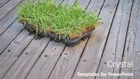  Presentation with ready - Presentation theme enhanced with zoysia-grass-plugs background and a gray colored foreground