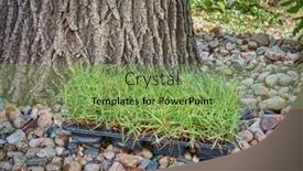  Presentation with ready - PPT theme featuring zoysia-grass-plugs background and a seafoam green colored foreground