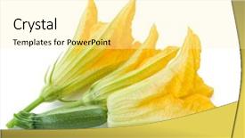  Presentation with white flowers - PPT theme featuring zucchini flowers on a white background and a blonde colored foreground
