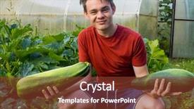  Presentation with teen - Colorful PPT theme enhanced with cucurbita - teen boy with zucchini backdrop and a tawny brown colored foreground