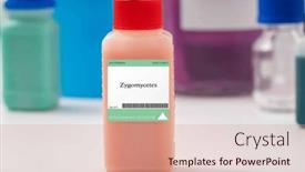  Presentation with fungus - Slide set with zygomycetes-fungus-used-for-tempeh background and a coral colored foreground