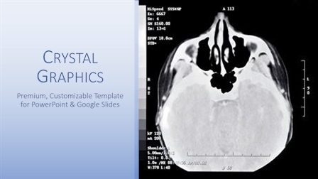 16 Best Brain Structure-Themed Templates for PowerPoint & Google Slides