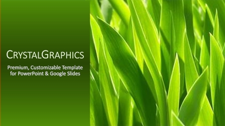 177 Best Abstract Green-page-9-Themed Templates for PowerPoint & Google ...