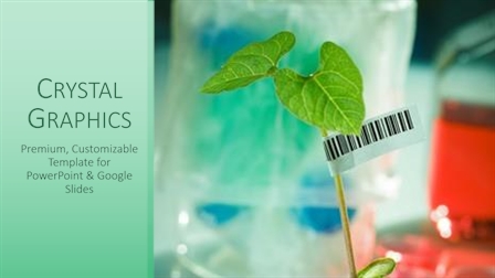 8 Best Genetically Modified Plants-Themed Templates for PowerPoint & Google  Slides