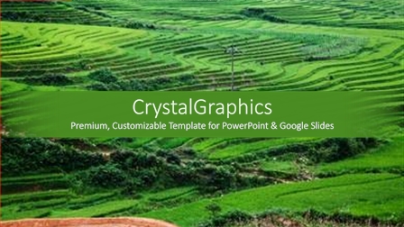256 Best Rice Fields-page-11-Themed Templates for PowerPoint & Google ...