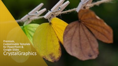 74 Best Four Seasons-Themed Templates for PowerPoint & Google Slides ...
