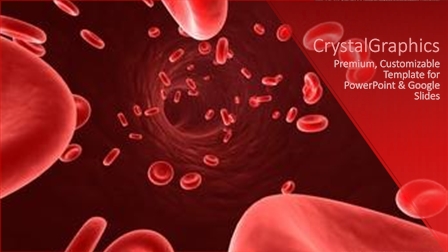Blood Cells Powerpoint Template
