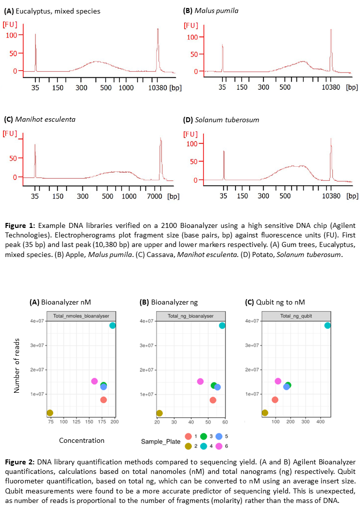 dna libraries for whole genome sequencing