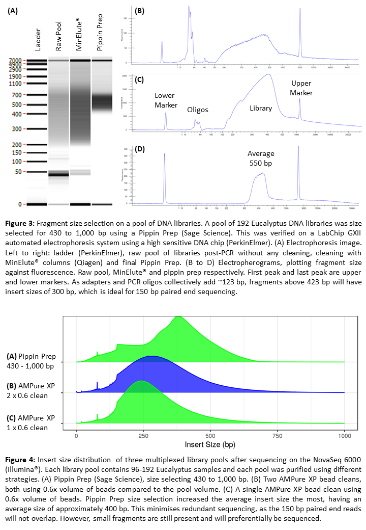 dna libraries for whole genome sequencing