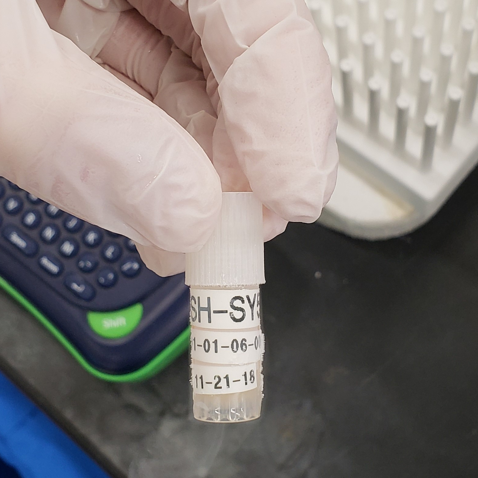 Thawing and Seeding Frozen Cells