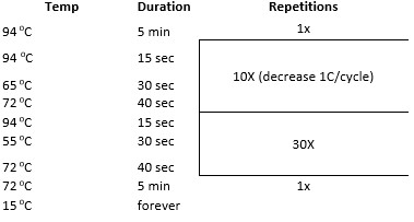 protocols io