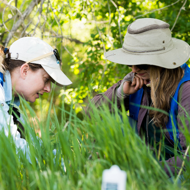 Vegetation Monitoring Protocol for measuring and collecting ecological data