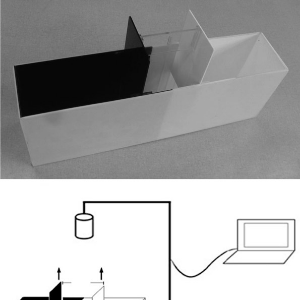 Light/dark preference test for adult zebrafish (Danio rerio)