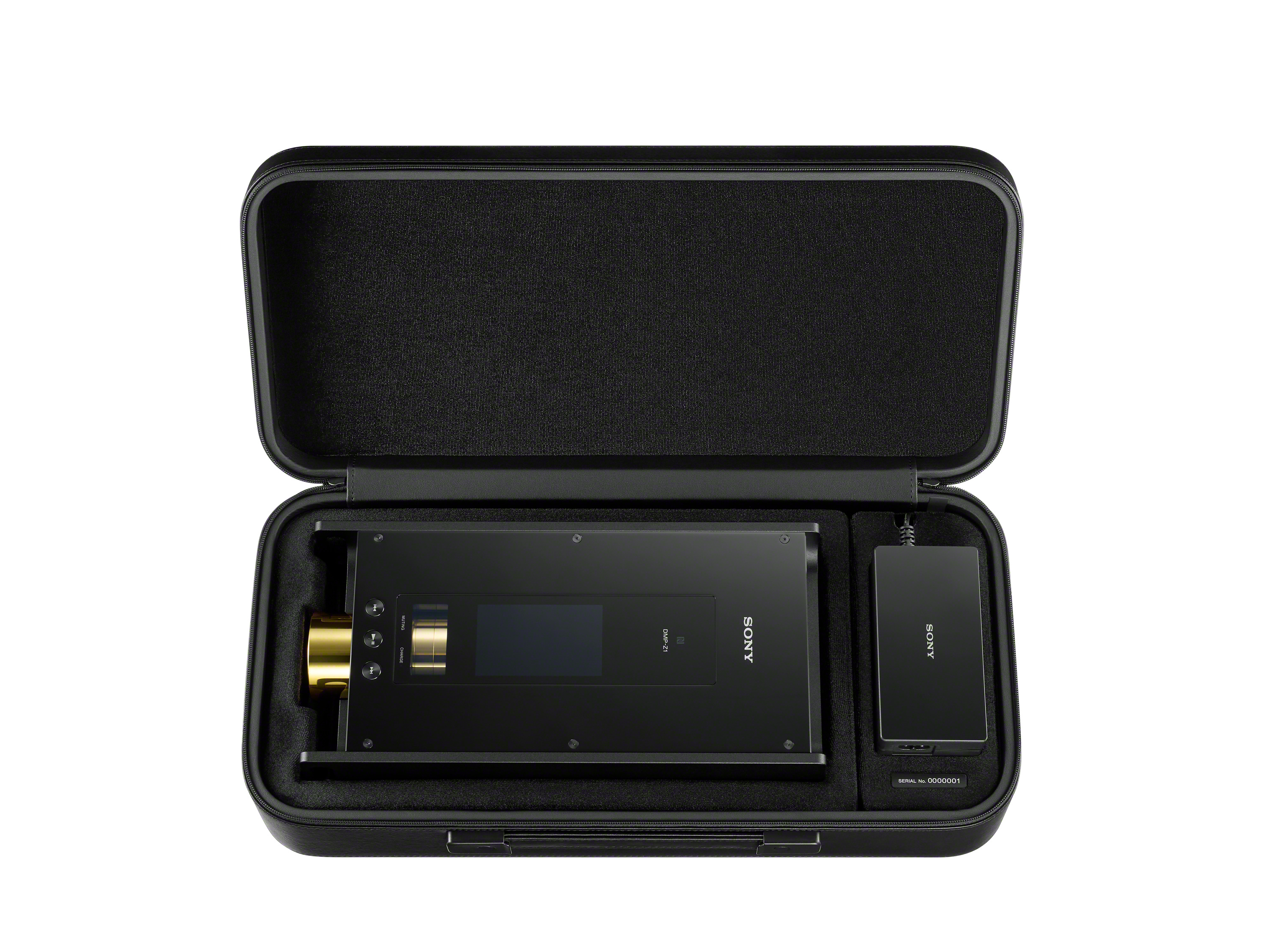 DMP-Z1_InsideCarryingCase-Large