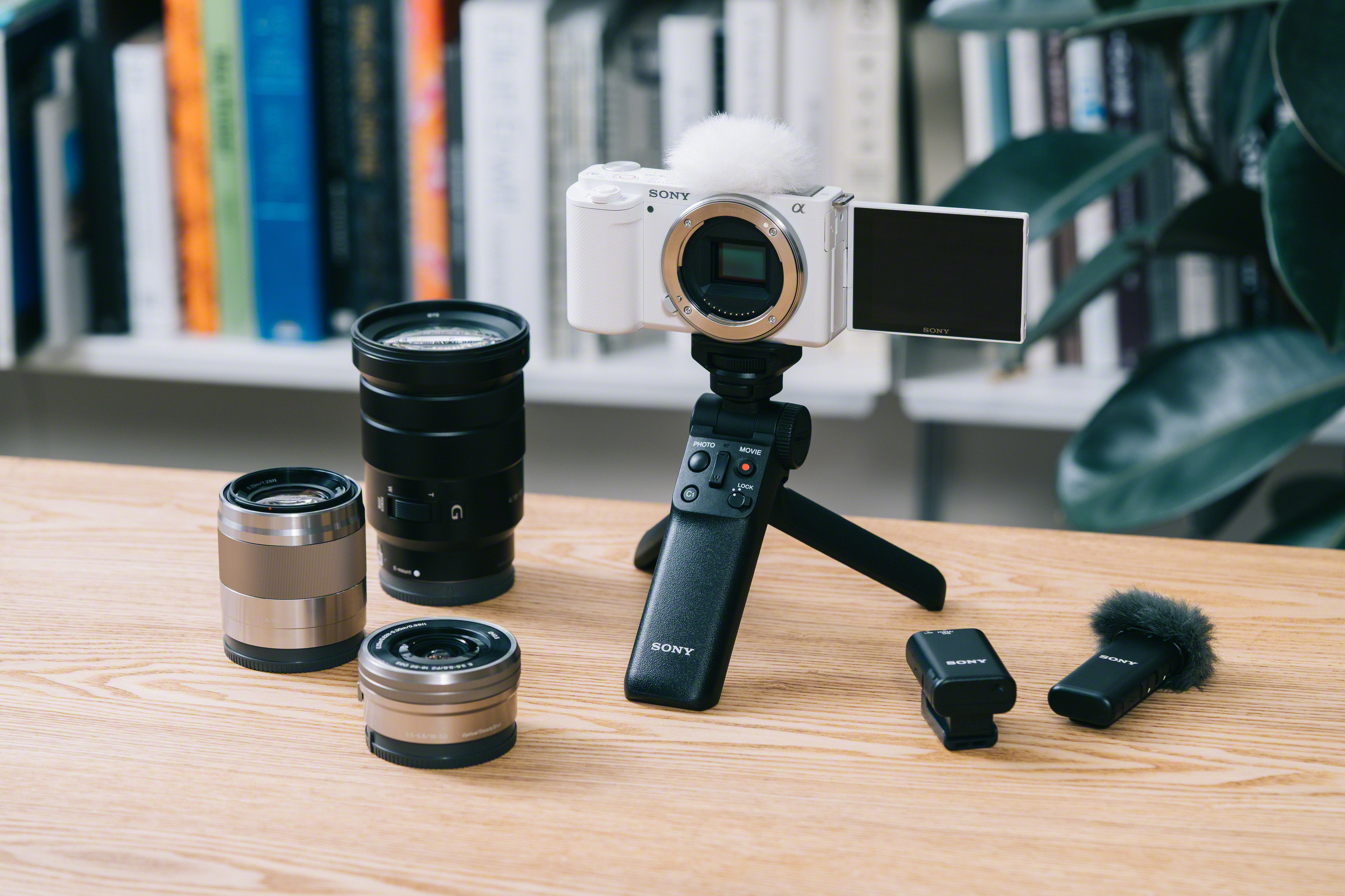 Alpha-ZV-E10_Situation_White2