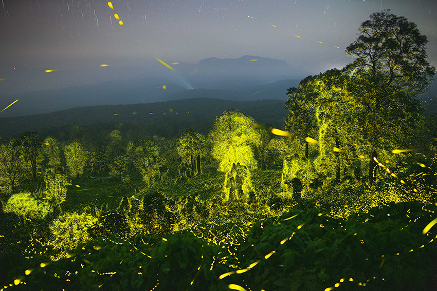 ©-Sriram-Murali-India-Shortlist-Pro-competition-Wildlife-Nature-Sony-World-Photography-Awards-2023