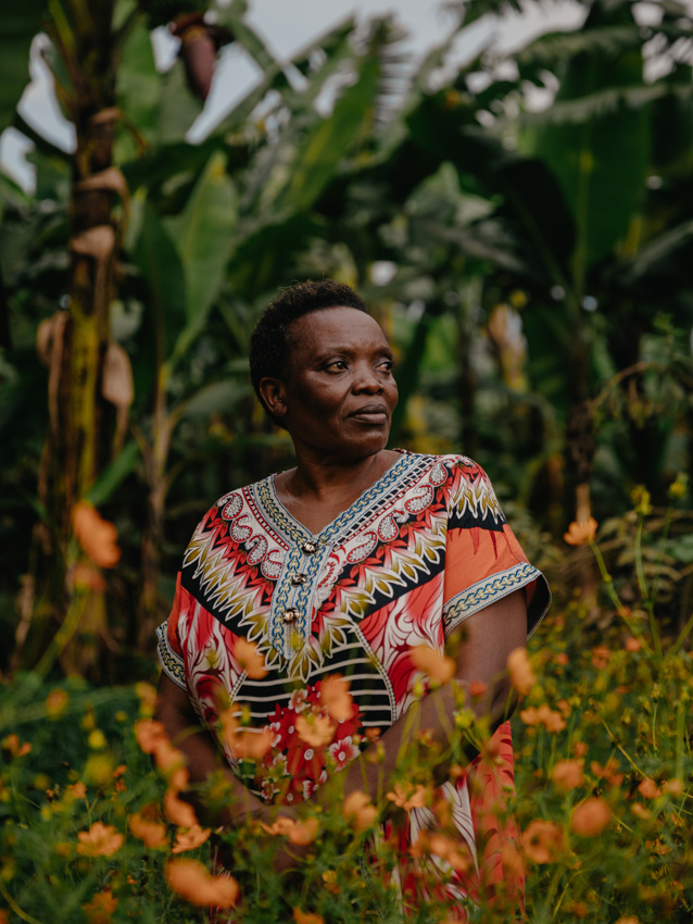War and Peace in Congo.
