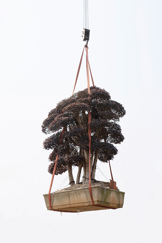 ©-Kechun-Zhang-China-Mainland-Winner-Professional-competition-Still-Life-Sony-World-Photography-Awards-2023-1