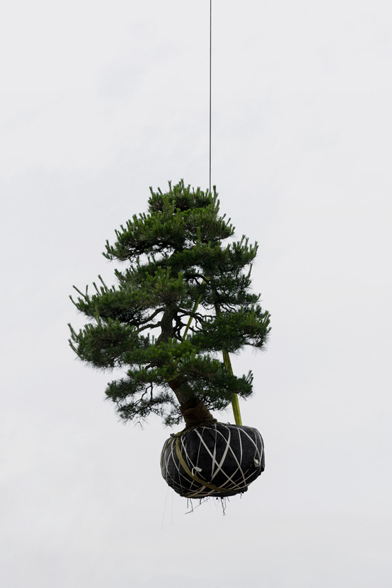 ©-Kechun-Zhang-China-Mainland-Winner-Professional-competition-Still-Life-Sony-World-Photography-Awards-2023-2