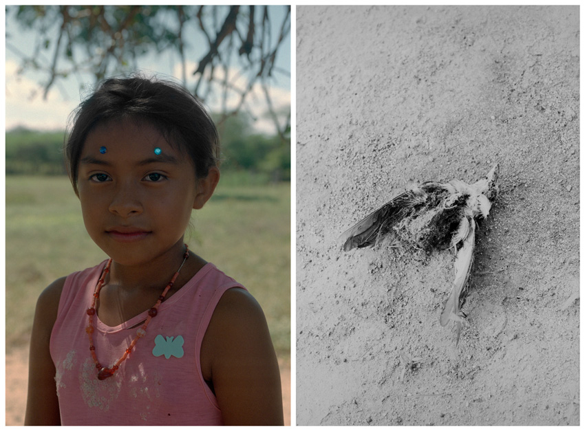 ©-Marisol-Mendez-Bolivia-and-Federico-Kaplan-Argentina-Winner-Professional-competition-Environment-Sony-World-Photography-Awards-2023-2