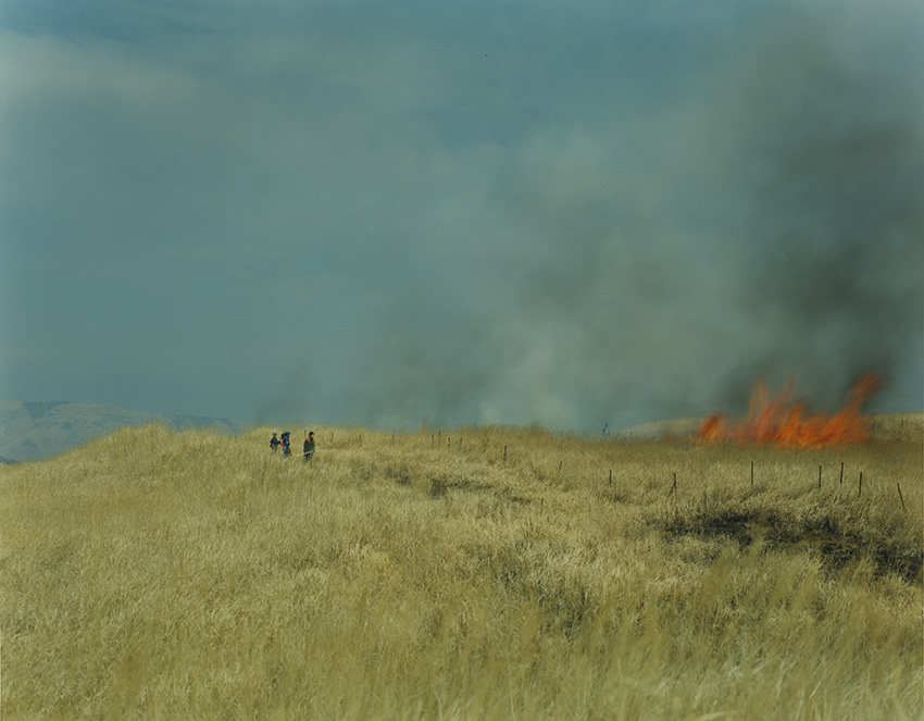 ©-Rinko-Kawauchi-Untitled-from-the-series-_Ametsuchi”-2013