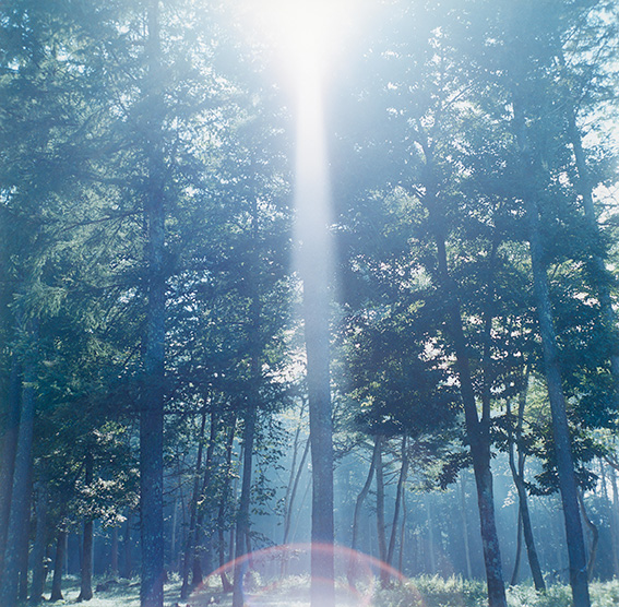 ©-Rinko-Kawauchi-Untitled-from-the-series-_Illuminance”-2009-1
