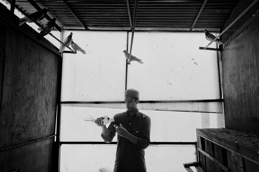 © Aakash Gulzar, India, Shortlist, Student Competition, Together, Sony World Photography Awards 2026