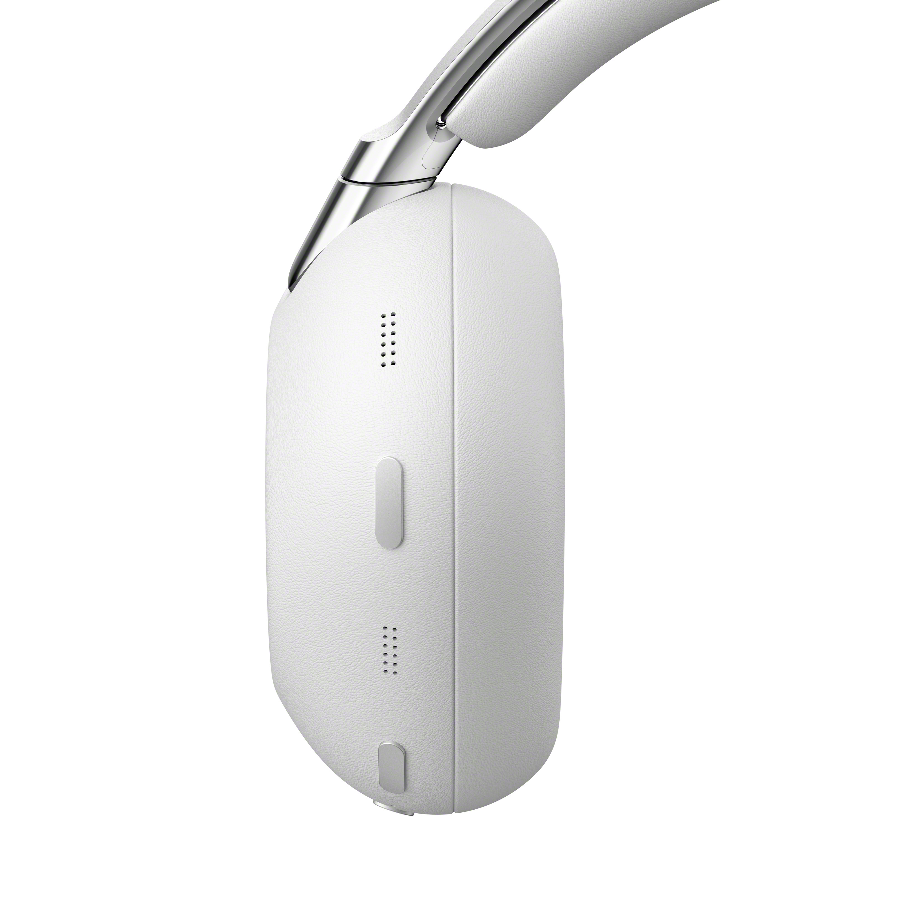 12.-1000X-THE-COLLEXION_button-platinum