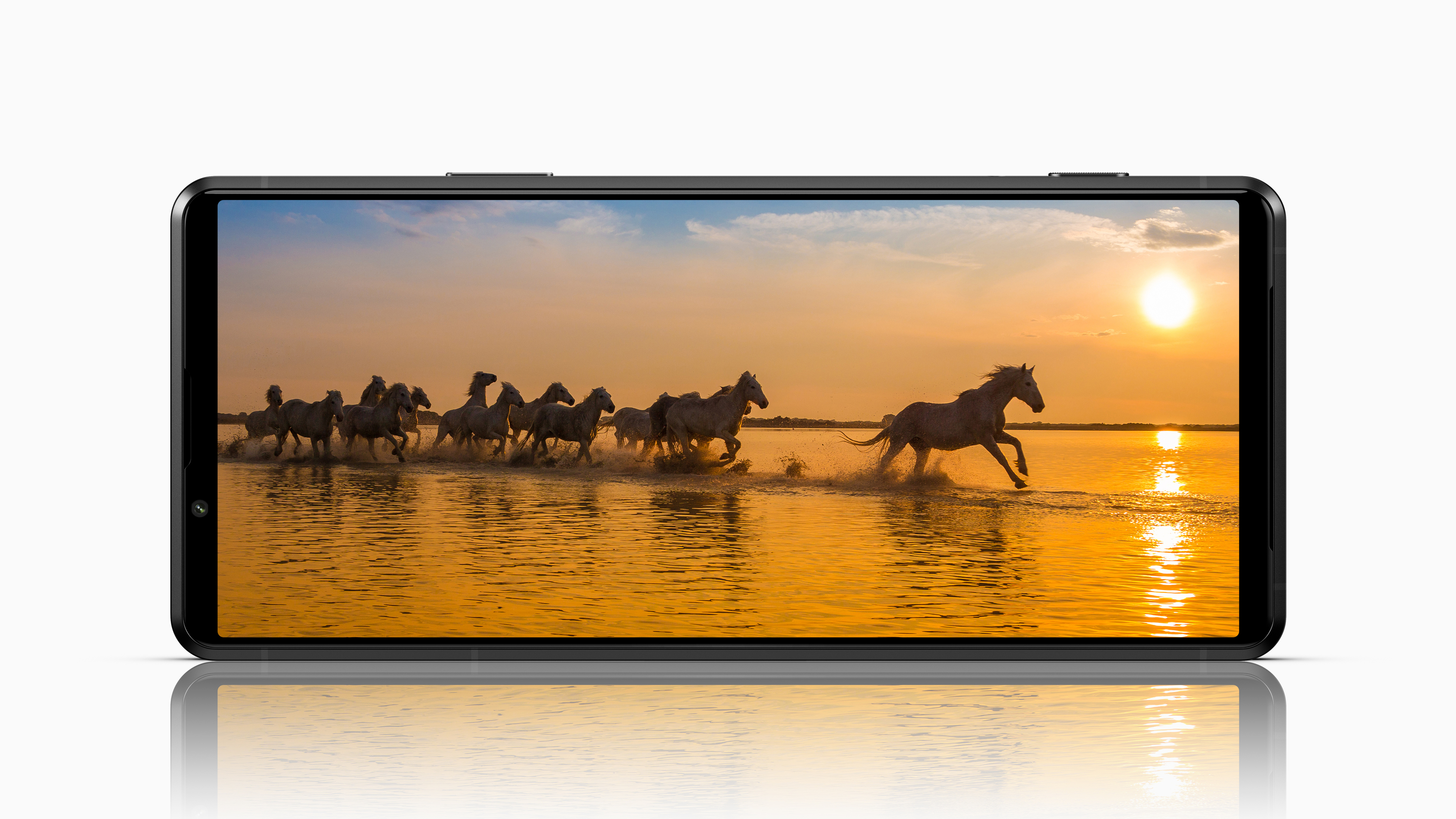 pdx217_displayMain_black-Large