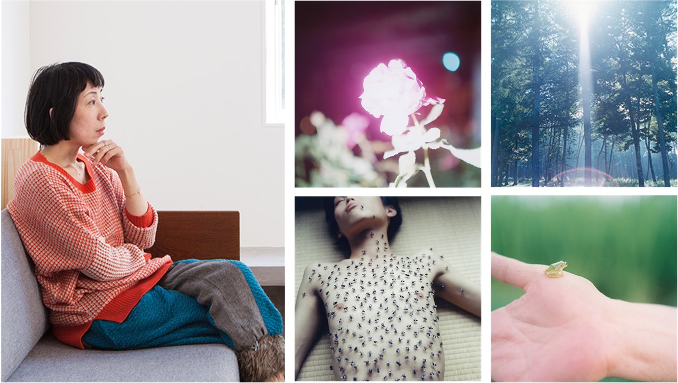 アート・デザイン・音楽 Rinko kawauchi Press Releases | Sony Singapore