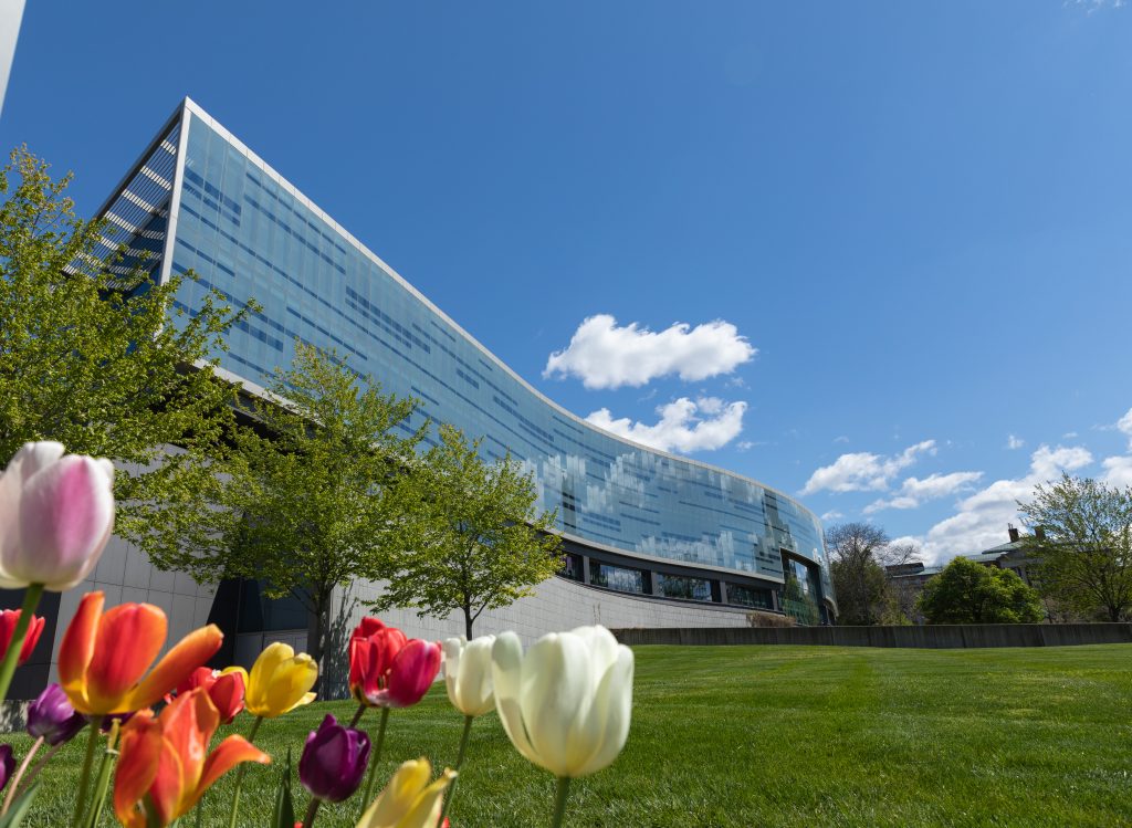 College Campus Building with Tulips