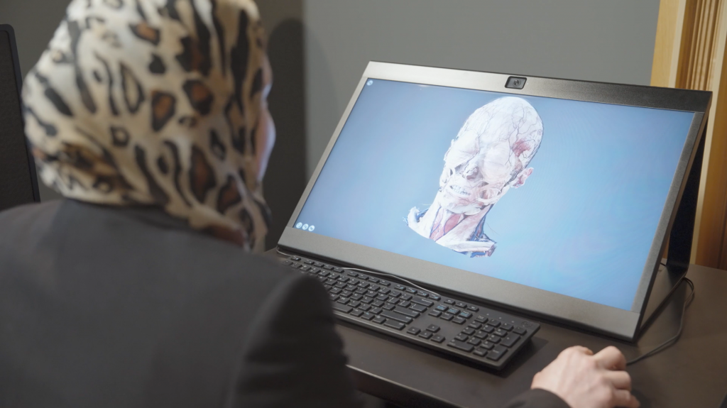 person using glasses free 3d display
