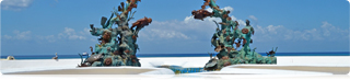 There's no other island like it in the Caribbean.