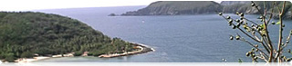 Dramatic Las Gatas Beach for Snorkeling and spectacular Wildlife. 