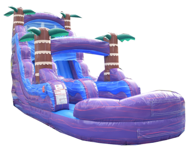 Inflatable jumper rental Tampa FL