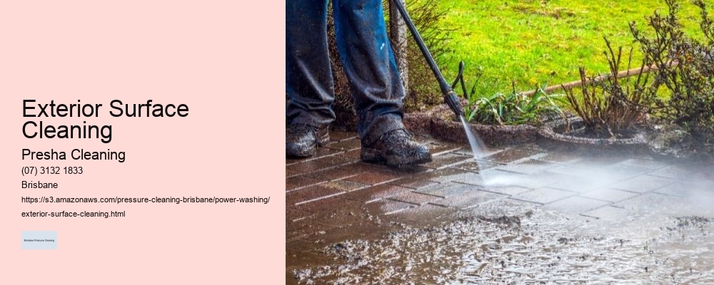 Exterior Surface Cleaning