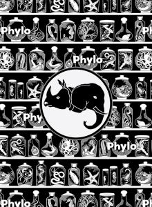Poker Deck component icon