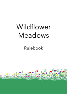 Medium Booklet component icon