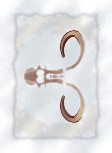 component