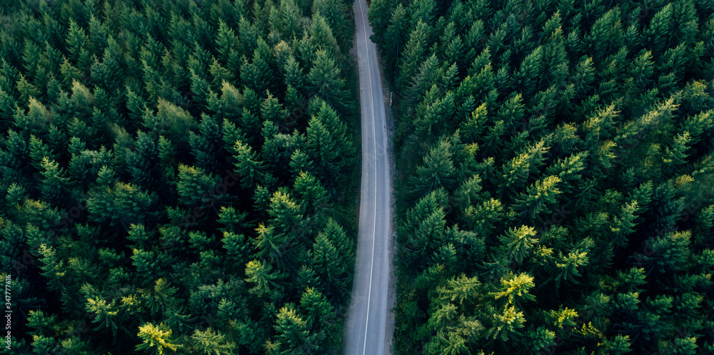 Sustainability COP Webinar