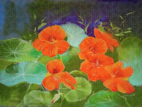 "Puzzle Nasturtium Flowers" a fine art Print by  Lukian