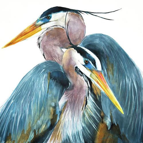 "Great Blue Heron Couple" a fine art Print by Jani Freimann