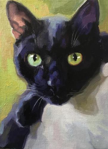 "Blackcat51" a fine art Print by Katya Minkina