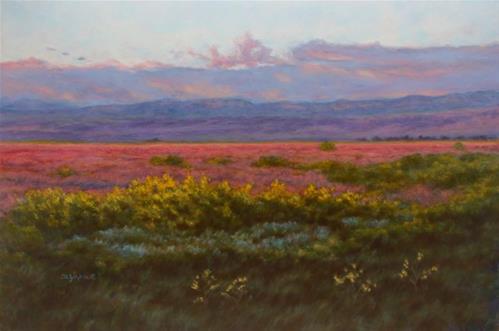 "Evening Fiesta" a fine art Print by Carol Zirkle