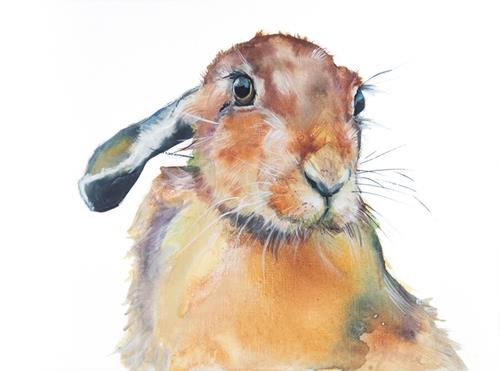 "A Hare Named Jill" a fine art Print by Jani Freimann