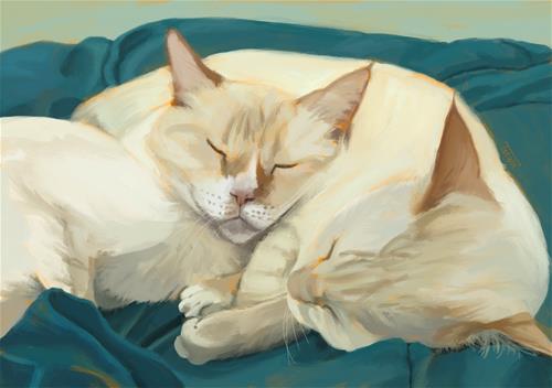 "Catnap 6" a fine art Print by Tracy Hurley
