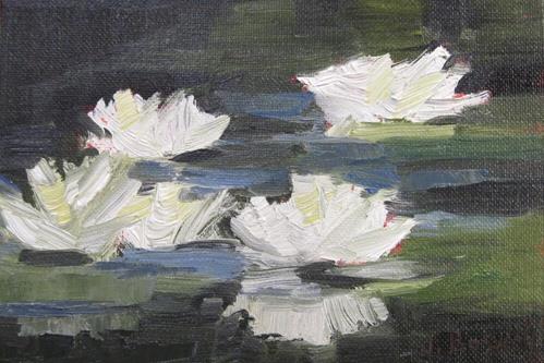 "White Lotus Flowers " a fine art Print by Jennifer Boswell