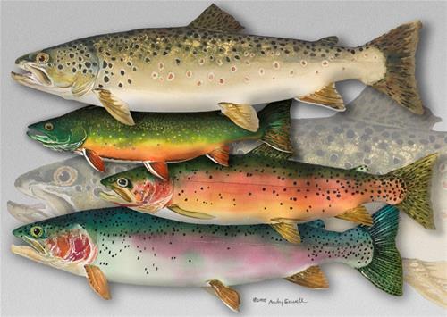 "Colors of the School" a fine art Print by Andy Sewell