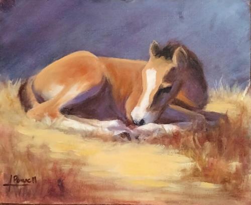 "Nap Time" a fine art Print by Karen Powell